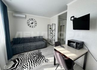 Сдаю в аренду квартиру студию, 25 м2, Ростов-на-Дону, Соборный переулок, 98