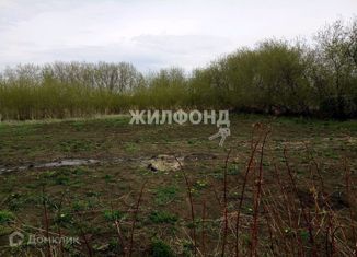 Земельный участок на продажу, 40 сот., село Гусельниково, Сибирская улица