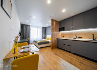 Продам квартиру студию, 28.7 м2, Санкт-Петербург, Киевская улица, 5к6, Киевская улица