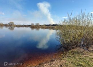 Продам земельный участок, 15 сот., рабочий посёлок Шимск, Береговая улица