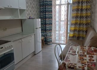 Сдам двухкомнатную квартиру, 43 м2, Новосибирск, улица Мясниковой, 30, Калининский район