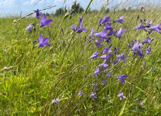 Продажа земельного участка, 25 сот., деревня Худанки