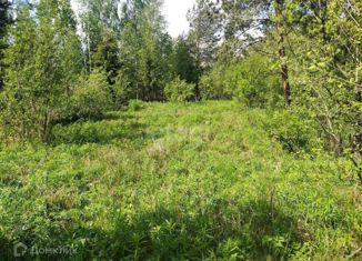 Продажа участка, 10 сот., садоводческое некоммерческое товарищество Рахья, садоводческое некоммерческое товарищество Рахья, 128