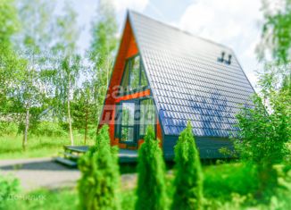 Продаю дом, 40 м2, деревня Затуленье, Новая улица, 4