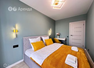 Сдача в аренду 1-ком. квартиры, 35 м2, Санкт-Петербург, Днепропетровская улица, 7