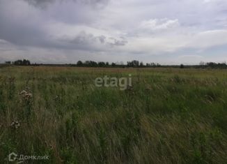 Участок на продажу, 6 сот., деревня Малиновка, Рябиновая улица