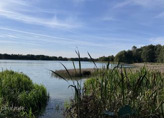 Продается земельный участок, 20000 сот., деревня Новопосёлки