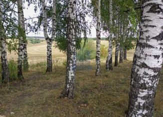 Продаю земельный участок, 12 сот., деревня Шинерпоси, Школьная улица, 2