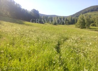 Продажа участка, 578.5 сот., село Бирюля