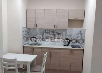 Сдаю квартиру студию, 29 м2, Новосибирск, улица Ясный Берег, 23, ЖК Ясный Берег