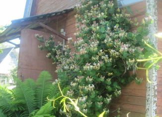 Продаю дом, 50 м2, деревня Карабиха, Московское шоссе, 64