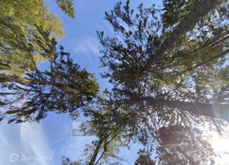 Участок на продажу, 12 сот., деревня Благовещенское