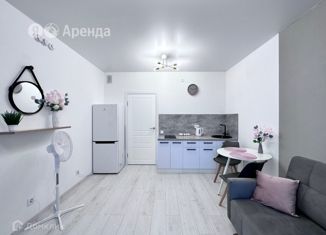 Сдается квартира студия, 29 м2, Санкт-Петербург, Суздальское шоссе, 18к4, метро Проспект Просвещения