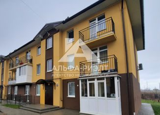 1-ком. квартира на продажу, 22.5 м2, посёлок Голубево, Лазурная улица, 13