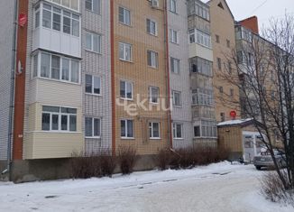 Продается 2-ком. квартира, 50 м2, Городец, улица Якова Петрова, 11