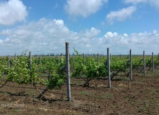 Земельный участок на продажу, 7800 сот., село Владимировка