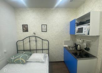 Продаю квартиру студию, 14 м2, Санкт-Петербург, переулок Ульяны Громовой, 3, метро Площадь Восстания