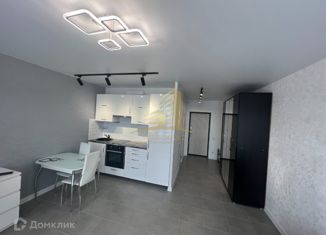 Сдается в аренду 1-комнатная квартира, 30 м2, Новосибирск, ЖК на Королёва, улица Королёва, 1Б