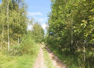 Продаю земельный участок, 30 сот., деревня Мужево