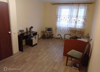 1-ком. квартира в аренду, 35 м2, посёлок Щедрино, Каштановая улица, 12