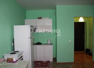 Продается квартира студия, 28.7 м2, Новосибирск, улица Мясниковой, 6/3, улица Мясниковой