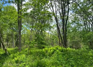 Продается земельный участок, 10 сот., село Вольно-Надеждинское