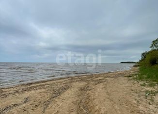 Продаю земельный участок, 20 сот., Гдов, улица Никитина