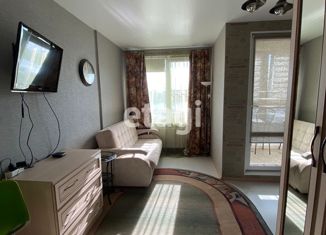 Продается квартира студия, 24.3 м2, Санкт-Петербург, улица Крыленко, 1к1с1, метро Елизаровская