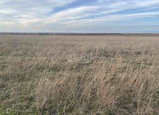 Участок на продажу, 50 сот., Перовское сельское поселение