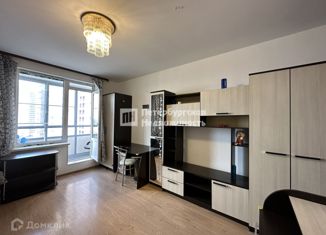 Сдаю в аренду квартиру студию, 24.6 м2, деревня Кудрово, Столичная улица, 6к1