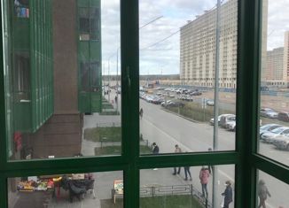 Сдается в аренду квартира студия, 25 м2, Мурино, улица Шувалова, 23, ЖК Гринландия-2