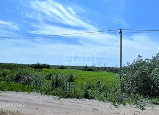 Продаю земельный участок, 19.3 сот., село Борки