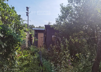 Продается участок, 6 сот., СНТ Кривское