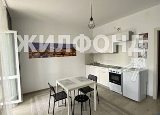 Продажа квартиры студии, 26.6 м2, поселок Бугры, Воронцовский бульвар, 11к3, ЖК Светлановский