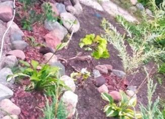 Продаю дом, 38 м2, Калининград, Озёрная улица