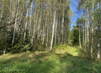 Продажа участка, 140 сот., деревня Коняево