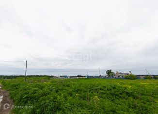 Продажа участка, 10 сот., село Зоркальцево, Шегарский тракт