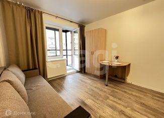 Квартира в аренду студия, 20.9 м2, Колпино, Балканская дорога, 14к2