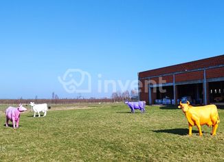 Продается земельный участок, 14 сот., посёлок Дорожный