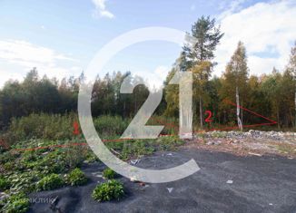 Продаю земельный участок, 12 сот., село Заозерье, Новоручейная улица