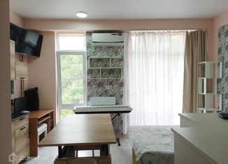 Продам 1-ком. квартиру, 25.9 м2, село Орёл-Изумруд, улица Лазурная Долина, 102А