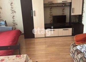 Сдается квартира студия, 30 м2, посёлок Шушары, Первомайская улица, 5к1, ЖК Шушары