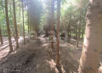 Продажа участка, 62 сот., деревня Новые Ченцы