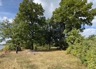 Продам земельный участок, 40 сот., СНТ Кривель