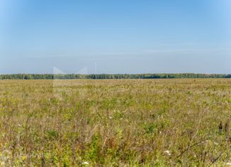 Продажа участка, 14.7 сот., деревня Молчанова