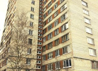 Продам 2-комнатную квартиру, 50.4 м2, Санкт-Петербург, Перевозный переулок, 19к1, Перевозный переулок