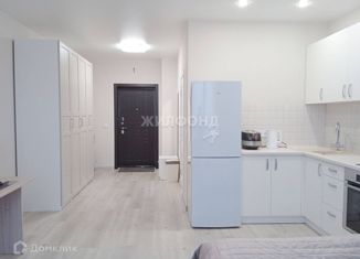 Продажа квартиры студии, 31.4 м2, Новосибирск, улица 25 лет Октября, 14/1, улица 25 лет Октября
