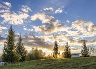 Продам земельный участок, 19.35 сот., деревня Тимошкино