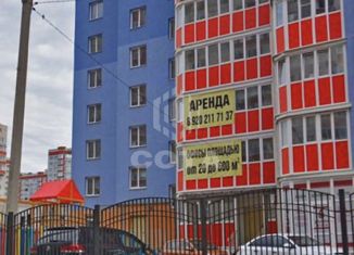 Продажа офиса, 53 м2, Воронеж, бульвар Победы, 42, Северный жилой район