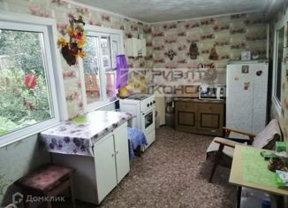 Продается дом, 24 м2, Омск, Ленинский округ, 11-я аллея, 313